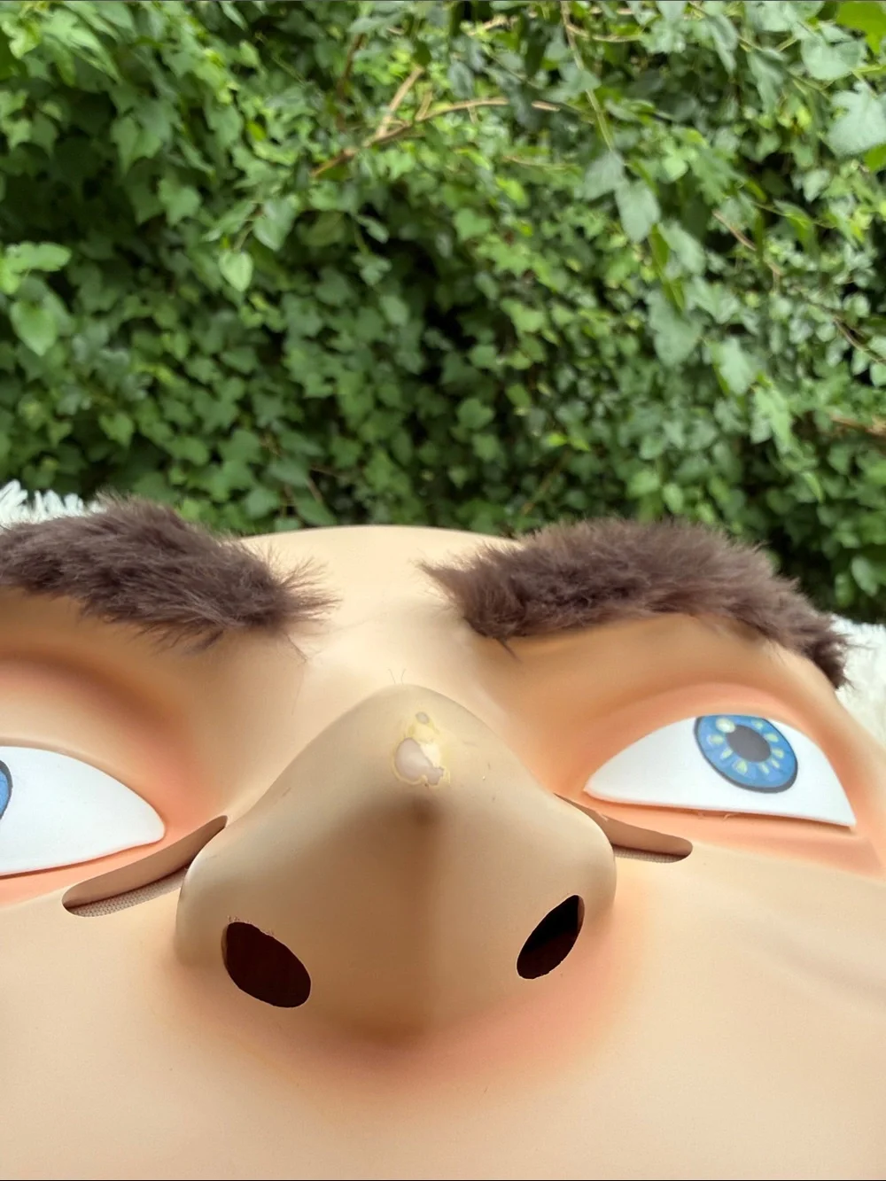 Gru Halloween Mask